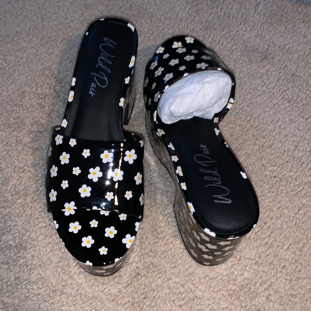 New platforms daisy flower